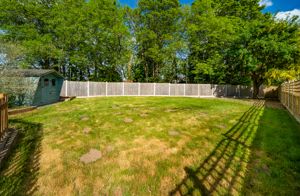 GARDEN- click for photo gallery